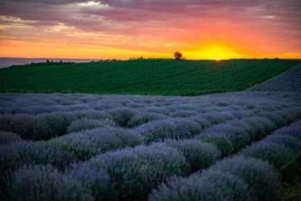 Rumunsko ukazuje, ako sa robí OZE vo veľkom