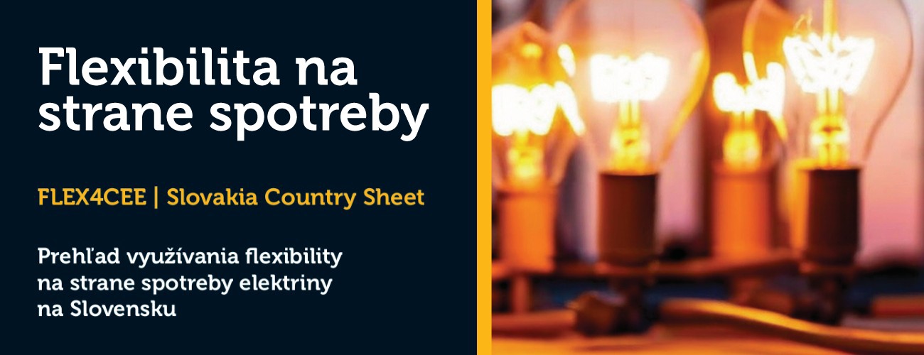 Flexibilita na strane spotreby
